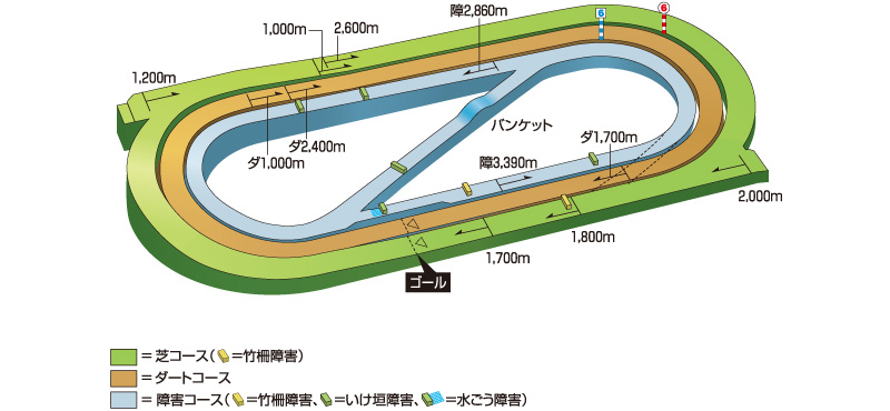 小倉サマージャンプ18予想と過去の傾向や出走馬などのデータ 本命はアップトゥデイト