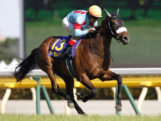 秋華賞18予想と過去の傾向や出走馬などのデータ アーモンドアイ