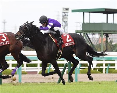 天皇賞春2019予想と過去の傾向や枠順 出走馬などのデータ 本命は